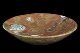 Fossil Goniatite Bowl - Stoneware #73761-1